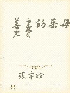 善良的岳母电影免费