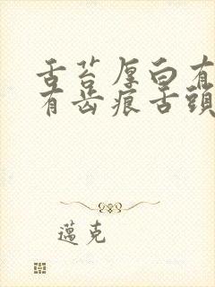 舌苔厚白有裂纹有齿痕舌头尖