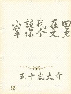 小说我在回忆里等你全文免费阅读封面