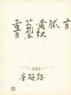 舌苔黄腻有齿痕有裂纹