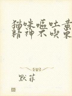 猫咪呕吐黄水没精神不吃东西怎么办封面