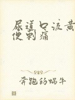 尿道口流黄脓小便刺痛