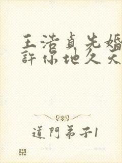 王浩贞先婚后爱许你地久天长短剧免