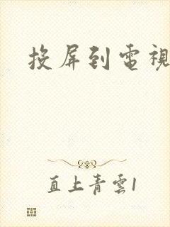 投屏到电视机上