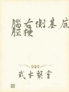 脑右侧基底节区腔梗封面