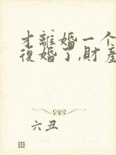 才离婚一个月又复婚了,财产怎么算