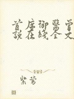 首席御医曾毅小说在线全文免费阅读封面