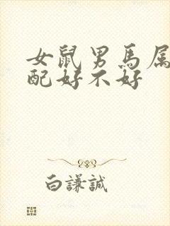 女鼠男马属相婚配好不好