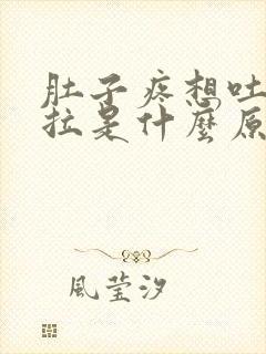 肚子疼想吐又想拉是什么原因