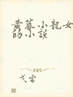 黄蓉小龙女题材的小说