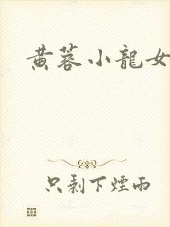 黄蓉小龙女外传