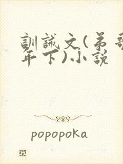 训诫文(弟哥,年下)小说