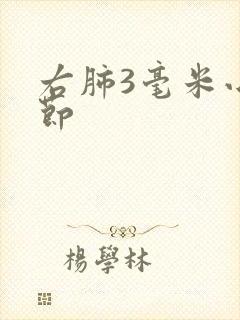 右肺3毫米小结节