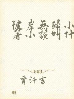 彼岸无归小说原著小说叫什么