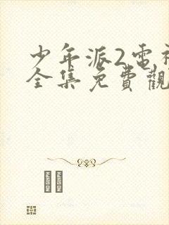 少年派2电视剧全集免费观看完整