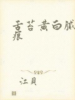 舌苔黄白腻有齿痕封面