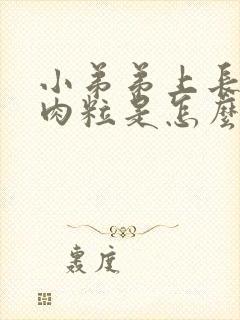 小弟弟上长了小肉粒是怎么回事封面