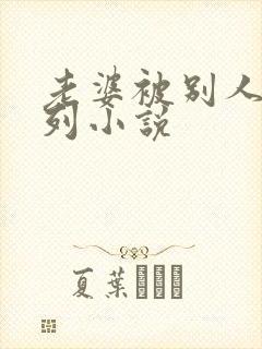 老婆被别人干系列小说