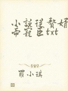 小说从赘婿到女帝宠臣txt