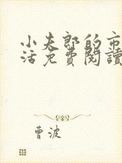小夫郎的市井生活免费阅读全文