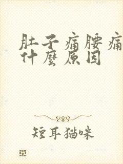 肚子痛腰痛呕吐什么原因