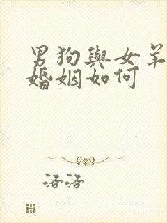 男狗与女羊相配婚姻如何