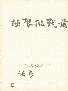 极限挑战黄晓明