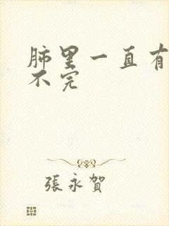 肺里一直有痰咳不完封面