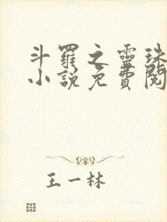 斗罗之灵珠神剑小说免费阅读txt下载