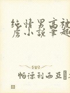 纯情男高被我俘虏小说笔趣阁