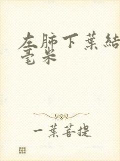 左肺下叶结节4毫米封面