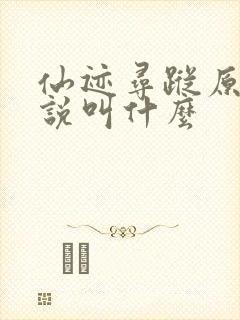 仙迹寻踪原著小说叫什么