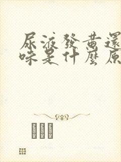 尿液发黄还有骚味是什么原因