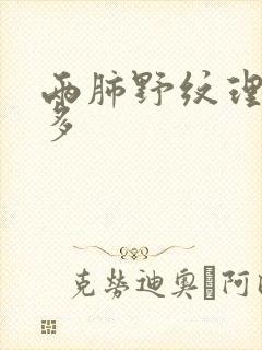 两肺野纹理略增多