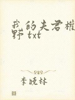 我的夫君权倾朝野 txt