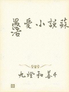 愚爱小说苏倩孙浩封面