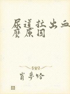 尿道拉出血是什么原因