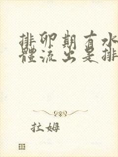 排卵期有水样液体流出是排卵了吗