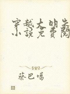 穿越大明朱祁镇小说免费阅读