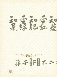 知否知否知否应是绿肥红瘦电视剧剧情封面