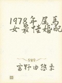 1978年属马女最佳婚配属相