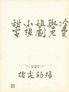 甜小姐与冷先生电视剧免费全集封面