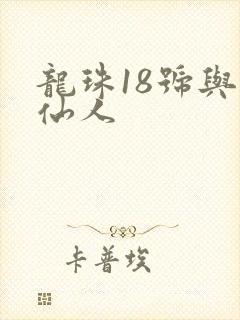 龙珠18号与龟仙人