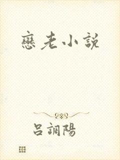 恋老小说