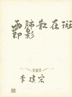 两肺散在斑点结节影