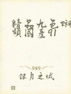 精品九色蝌蚪视频国产91