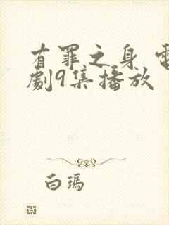 有罪之身 电视剧9集播放封面