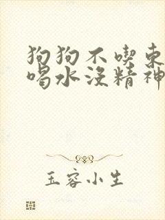 狗狗不吃东西不喝水没精神吐