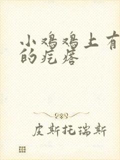 小鸡鸡上有很小的疙瘩