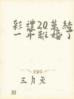 彩礼20万结婚一年离婚了怎么办封面